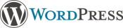 website_schnell_und_gunstig_mit_wordpress