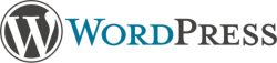website_schnell_und_gunstig_mit_wordpress